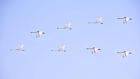 统计机构称美国PS5销量走势已经领先于PS4生涯同期